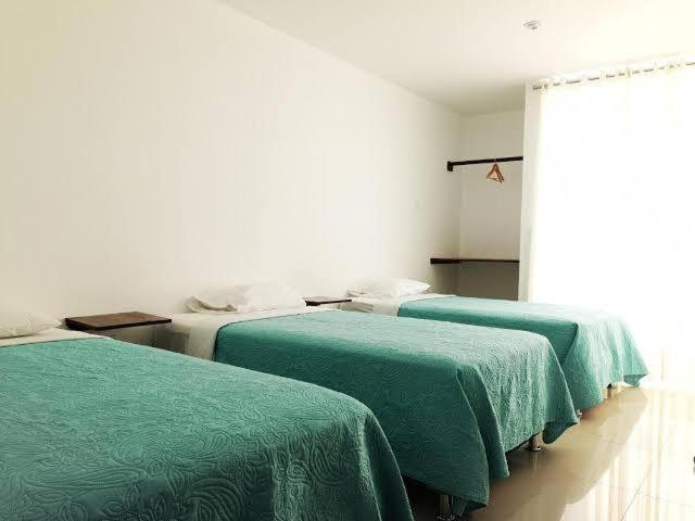 Hotel Guest House Inkayacu-帕拉卡斯 外观 照片